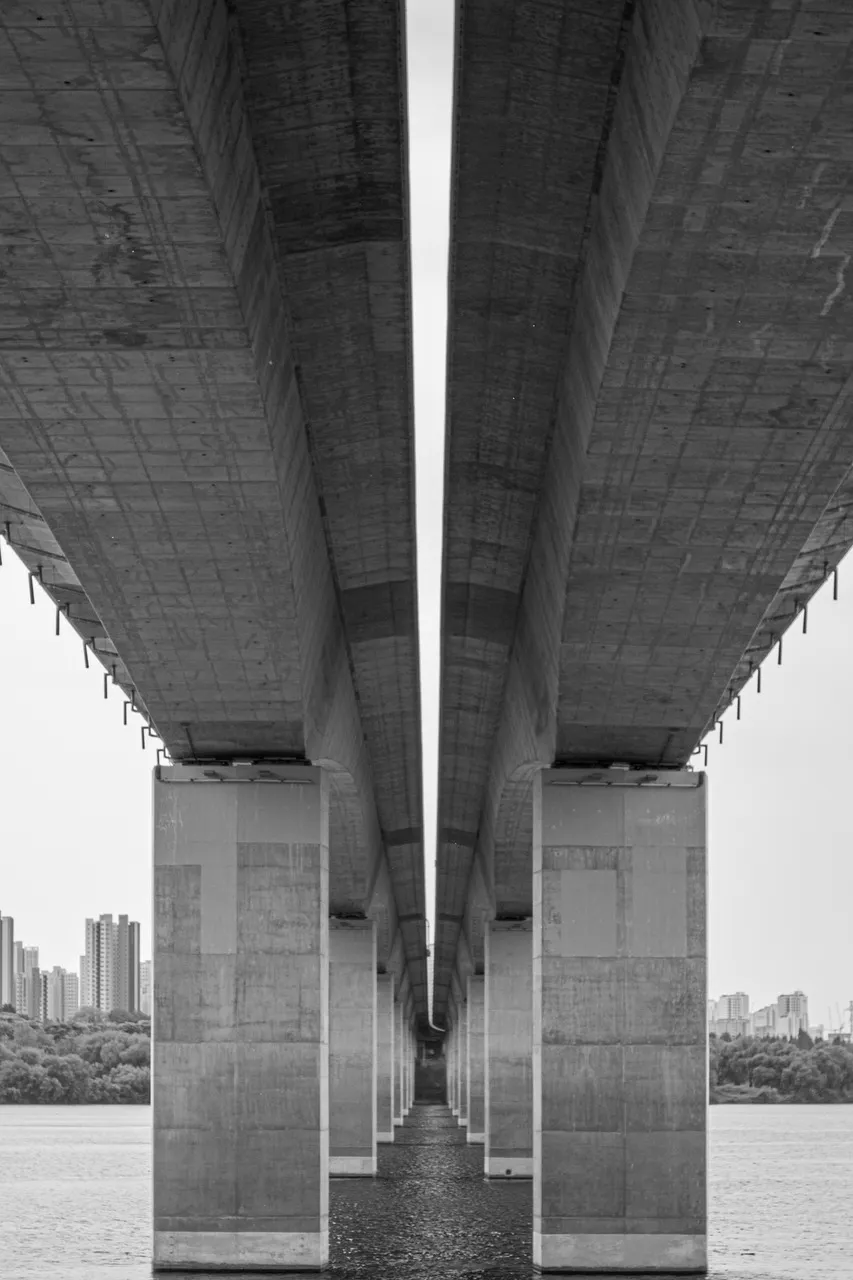 Concrete bridge underside with pillars stretching across water, city skyline in background.